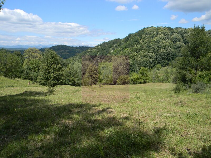 Teren intravilan de vanzare in Telega