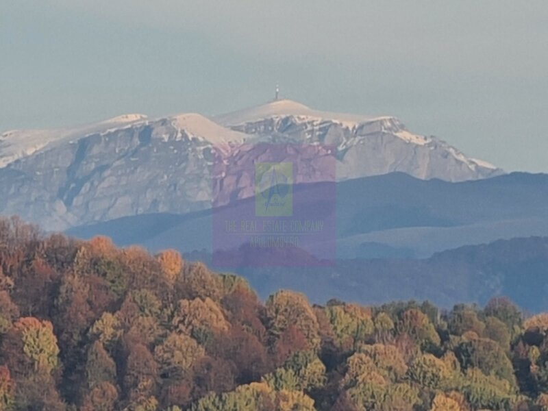 Teren intravilan de vanzare in Telega