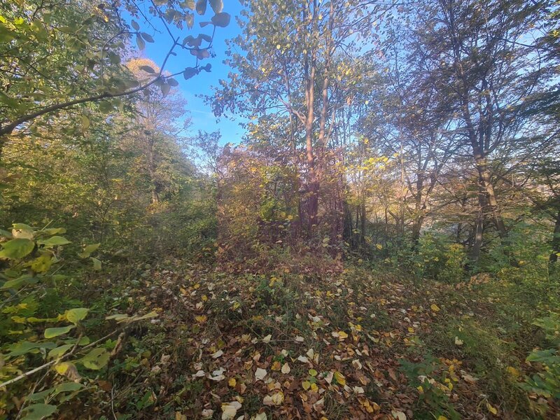 Teren intravilan de vanzare in Telega
