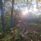 Teren intravilan de vanzare in Telega