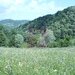 Teren intravilan de vanzare in Telega