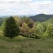 Teren intravilan de vanzare in Telega